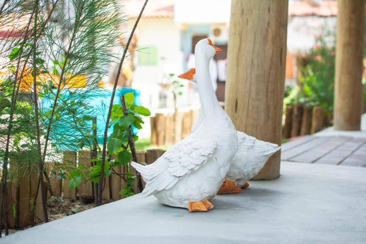 Villa Paihia Jericoacoara Bagian luar foto